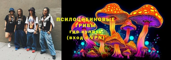 гидропоника Вяземский