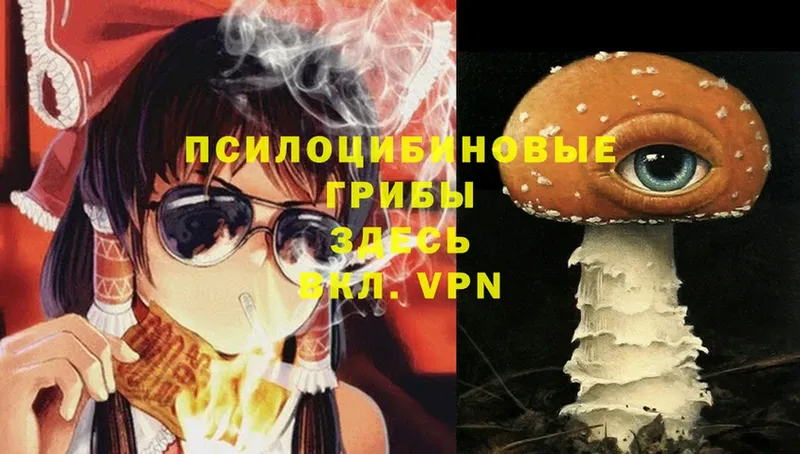 Псилоцибиновые грибы Magic Shrooms  где продают   Миллерово 